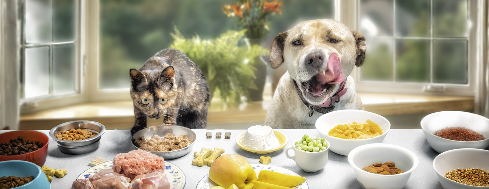 CVS_Consulenze nutrizionali